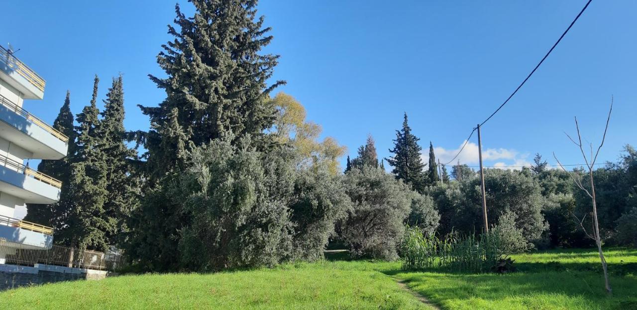 Όμορφο Studio Στην Πόλη Πάτρα Buitenkant foto
